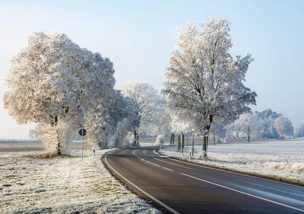 Landsväg i ett vinterlandskap med frostat träd — Stockfoto