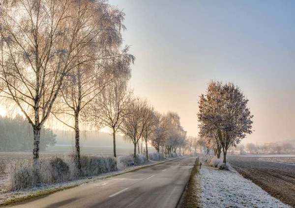 Estrada rural em uma paisagem de inverno com árvores geadas — Fotografia de Stock