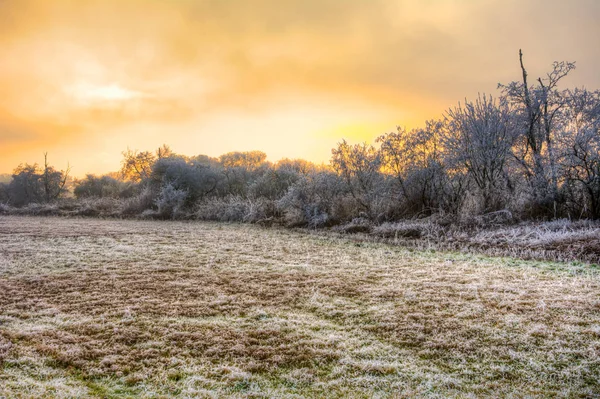 Zonsondergang op een mistige winterdag met berijpte bomen — Stockfoto