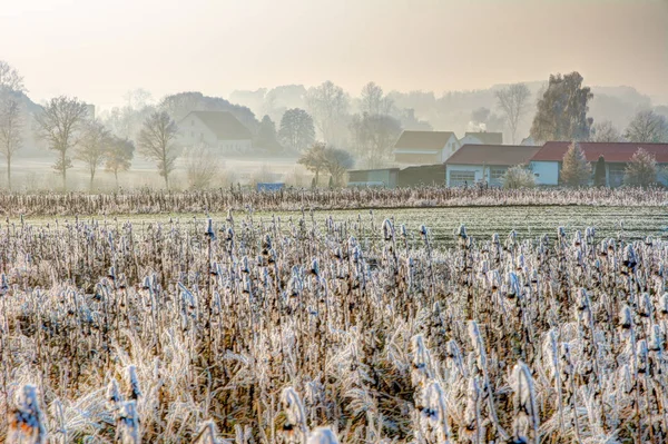 Frostad fältet på en by i Bayern — Stockfoto