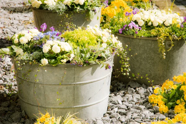 Vintage tin buckets filled with spring flowers — Stock Photo, Image