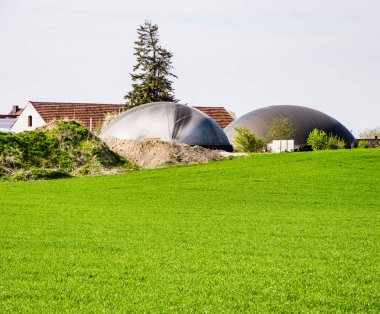 bio teknoloji ile alternatif enerji