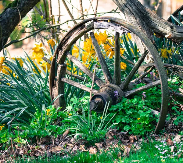 Vintage wooden wheel in the garden — Stock Photo, Image