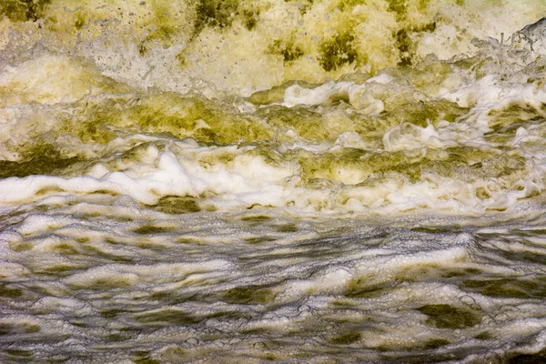 廃棄物の水をはねかける野生 — ストック写真