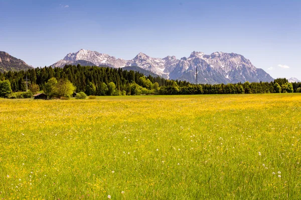 Prado en los Alpes de Baviera — Foto de Stock