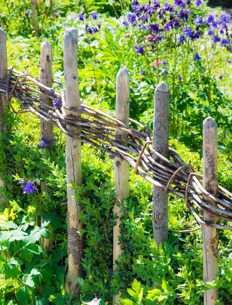 Традиционный кухонный сад с деревянным забором — стоковое фото