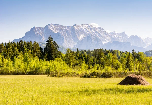 Pré dans les Alpes de Bavière — Photo