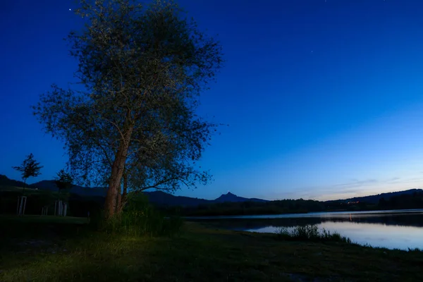 Ağaç ve dağ siluetleri geceleri — Stok fotoğraf