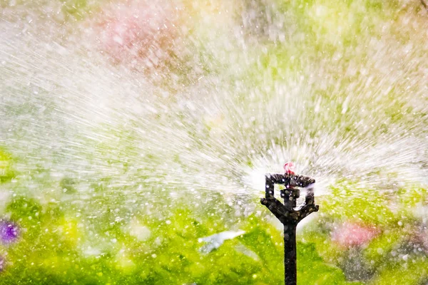 Garden irrigation with an automatic watering system — Stock Photo, Image