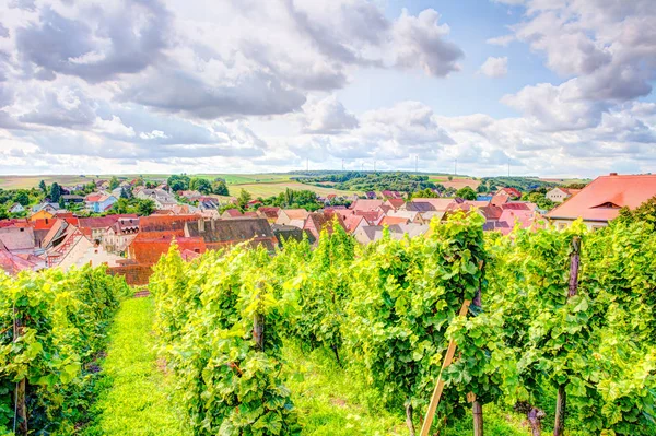 Vista su un vigneto e sul villaggio di Wipfeld — Foto Stock