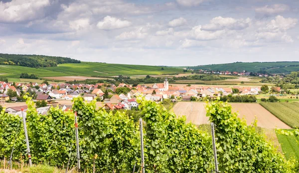 Franconia şarap büyüyen bölgesinde — Stok fotoğraf