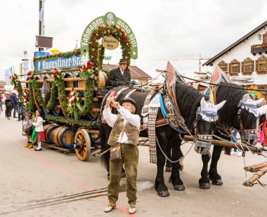 Haflinger bira fıçısı Ekim Festivali'nde çekerek atlar