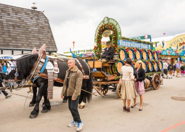 Haflinger bira fıçısı Ekim Festivali'nde çekerek atlar
