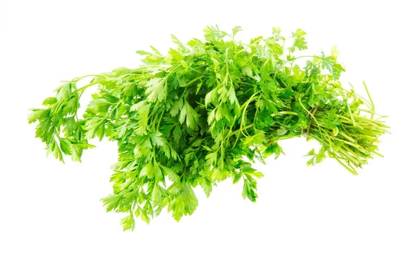 Isolated bunch of fresh garden parsley — Stock Photo, Image