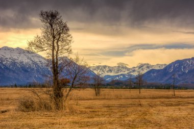 Murnauer Moos bog in Bavaria