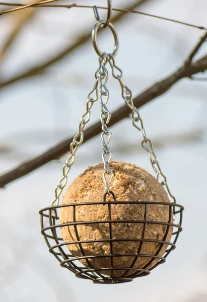 Alimentador de aves con una bola gorda — Foto de Stock