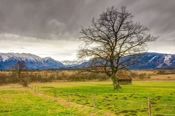 Palude Murnauer Moos in Baviera — Foto Stock