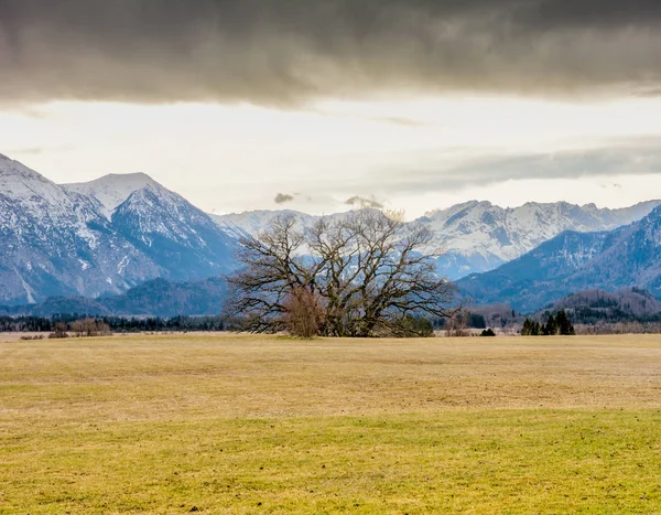 Murnauer Moor in Bayern — Stockfoto