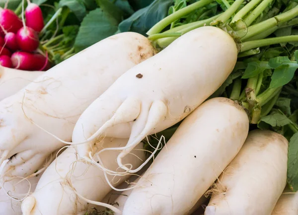 Rábano blanco visto en el mercado — Foto de Stock