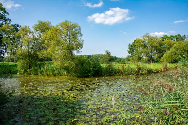 Staw w wiejskim krajobrazie — Zdjęcie stockowe