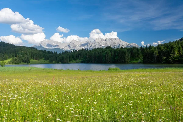 Bavyera'da Alp Gölü ve çiçekli çayır — Stok fotoğraf