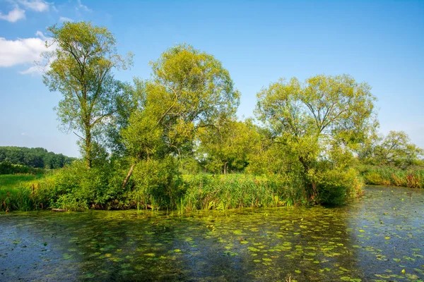 Étang dans un paysage rural — Photo