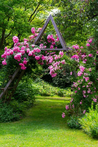 Jardín de rosas idílico — Foto de Stock