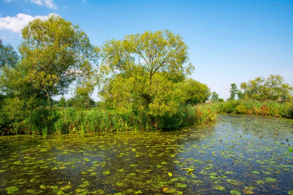 Rybník Krajině Zvané Goachat Schrobenhausen Německo — Stock fotografie