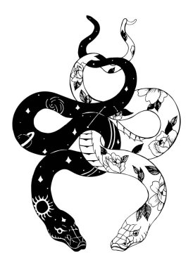 İki yılanın resmi. siyah ve beyaz