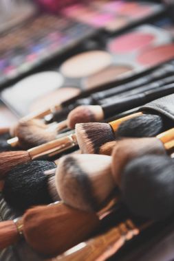 Makyaj araçları portre