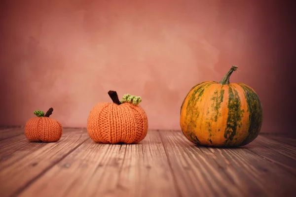 Citrouilles d'automne colorées — Photo