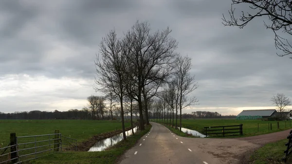 Äng och countryroad i skymningen i regnigt väder — Stockfoto