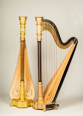 İki Lyon ve Healy Pedal 'ın stüdyo çekimi. Arp tarzı 23 bronz ve altın.