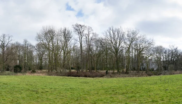 Grassland with bare trees panorama in Boxtel The Netherlands