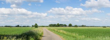 Kırsal alanlara doğru giden bir yolun manzarası. Sonunda mavi gökyüzünün altında beyaz bulutlu bir orman var.