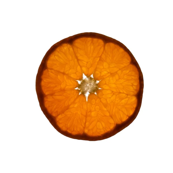 Skiva Mandarin Frukt Med Ljus Skiner Genom Bakgrundsbelysning Visar Struktur — Stockfoto