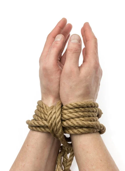 Tied hands isolated — Stock Photo, Image