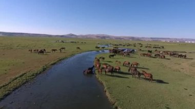 Atları Gölü dron video yürüyor