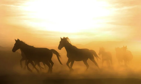 Caballo corriendo y vista nocturna — Foto de Stock