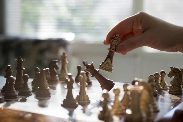 Chess game Professional, voorraad, fotografie — Stockfoto