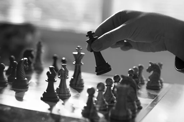 Chess game Professional, voorraad, fotografie — Stockfoto