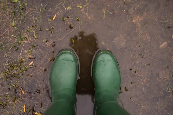 Regn Bakom Ett Fönster Regnet Droppar Glaset Bilar Vägen Kraftigt — Stockfoto