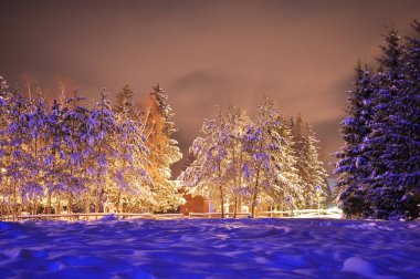 Kış gecesi manzara Poiana Brasov içinde görüntüleyin.