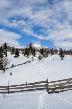 Ağaçlar, kar, bulutlar ve mavi gökyüzü ile kış manzarası