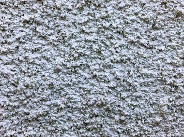 Detaylı grunge doku duvar arka plan 