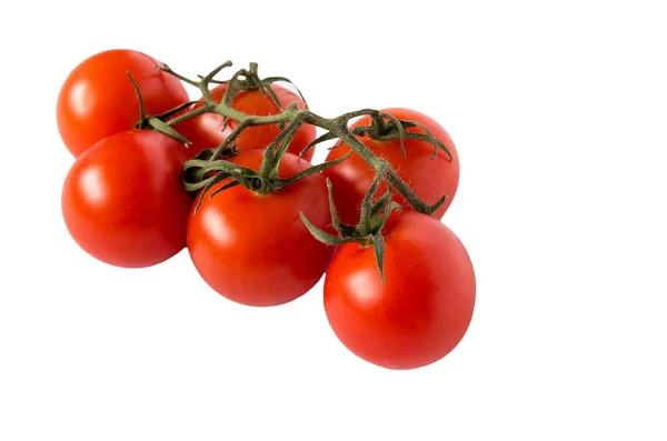 Tomates em fundo branco - mais imagens disponíveis — Fotografia de Stock