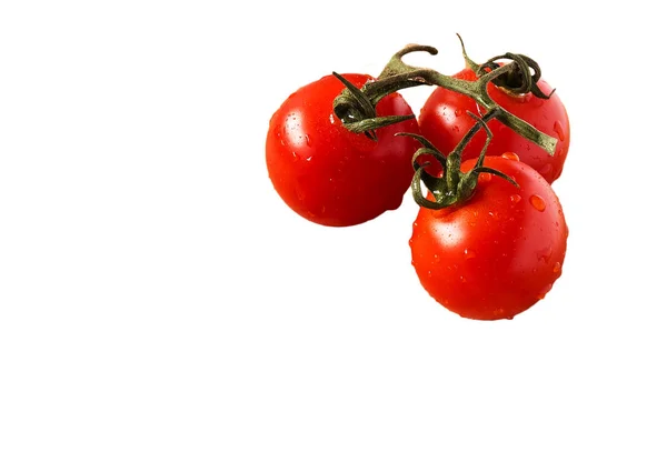 Tomates en fondo blanco - más imágenes disponibles —  Fotos de Stock