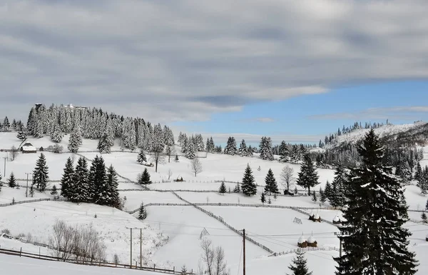 Paisaje invernal con árboles, nieve, nubes y cielo azul — Foto de Stock