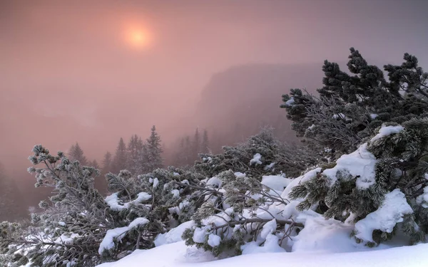 Atmósfera mística al amanecer en las montañas ceahlau — Foto de Stock