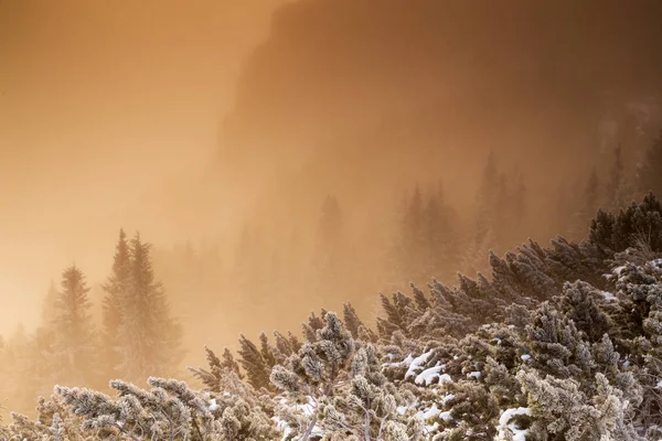 Atmósfera mística al amanecer en las montañas ceahlau — Foto de Stock